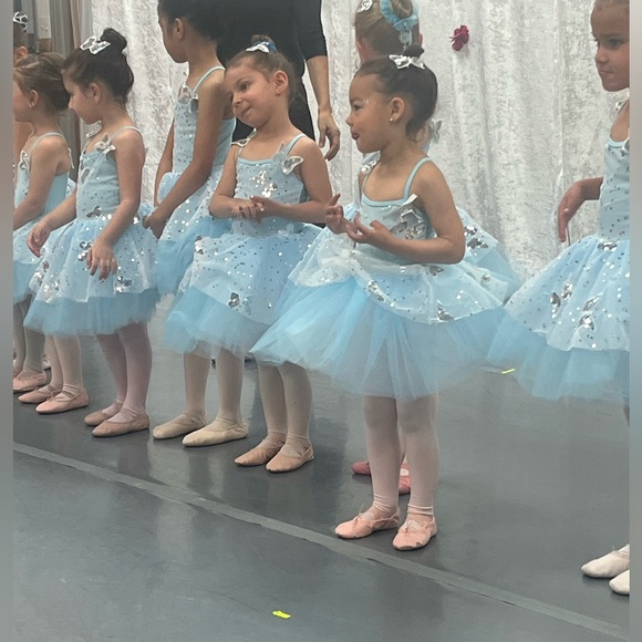 Beautiful butterfly tutu/costume. Worn for one show. Perfect condition! - Picture 4 of 4